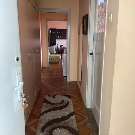 Comfor * Leskovac (Jablanica)