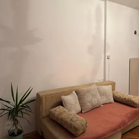 Comfor Apartment